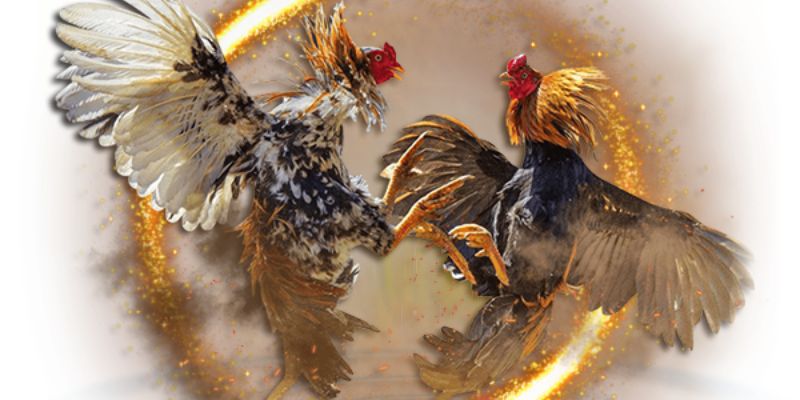 Quản Lý Vốn Chặt Chẽ